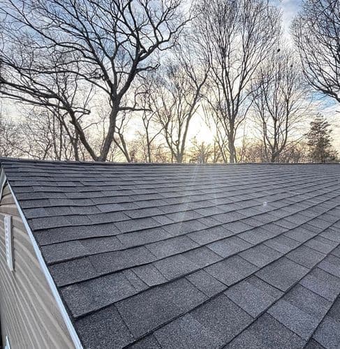 Aerial view of a shingled roof against a backdrop of bare trees and soft sunrise light.